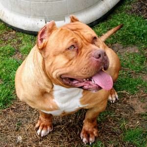 Meet your Posher, Timmy